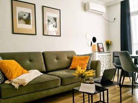 Day, Winter, TV and multimedia, Living room, Decorative detail, Seating area, Family, furniture, internet, air conditioner, air conditioner