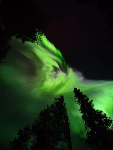 Söpö mökki luonnon rauhassa House in Rovaniemi