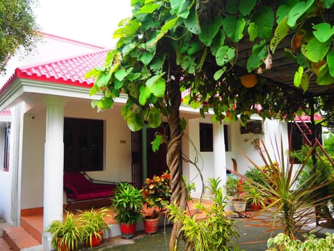 Property building, Spring, Garden view