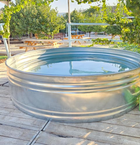 Natural landscape, Pool view, Swimming pool