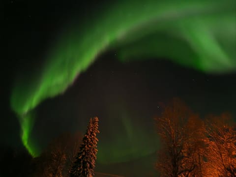 Tievastreet Harmony Apartment Apartment in Rovaniemi
