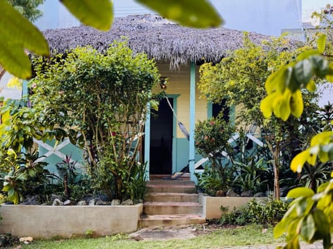 Garden, Lobby or reception