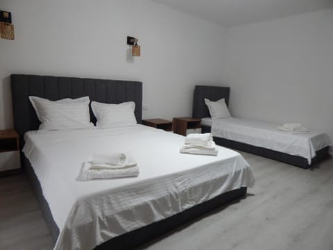 Pensiunea Ramedal Hotel in Dolj County, Romania