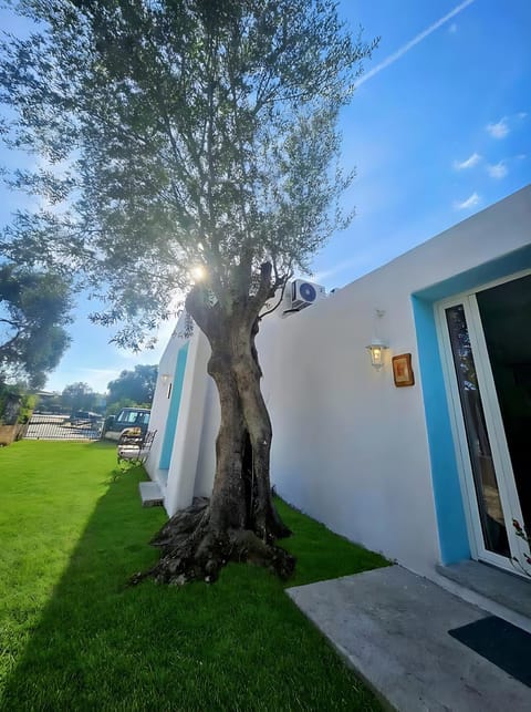 Property building, Day, Garden view
