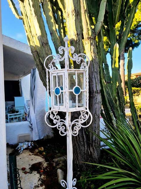 Patio, Garden, Garden view