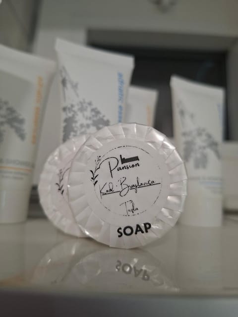 Pansion Kod Brajlovica Bed and Breakfast in Federation of Bosnia and Herzegovina