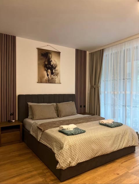ViVa SPA Retreat Apartment in Velingrad