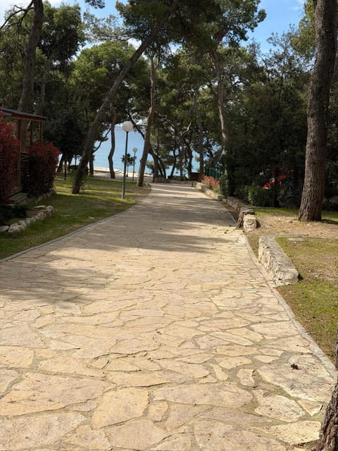 Glamour Pakoštane Mobile Home Campground/ 
RV Resort in Šibenik-Knin County, Croatia