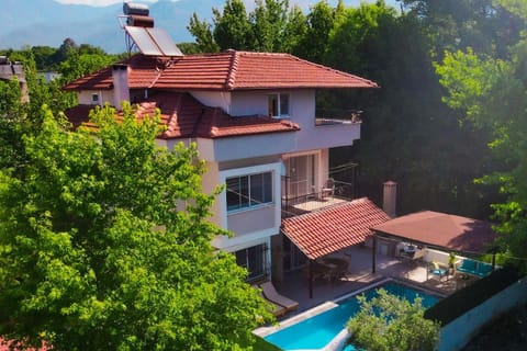 Day, Natural landscape, Garden, Swimming pool
