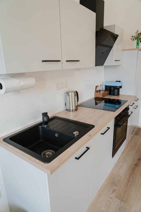 Kitchen or kitchenette, dishwasher, stove