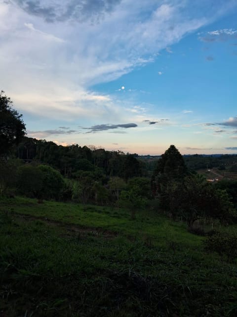 Natural landscape