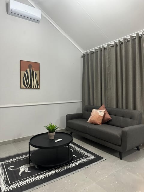 Living room, Seating area, air conditioner