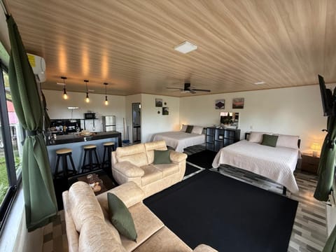 Photo of the whole room