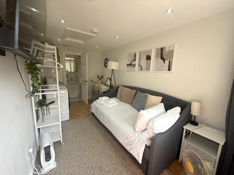 Bed, Living room