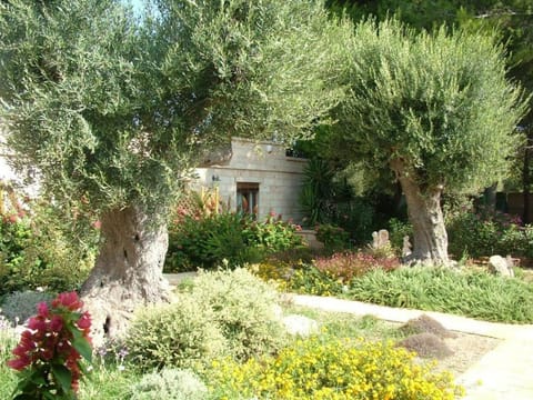 Villa Urania Apartment in Torre San Giovanni