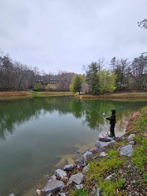 Natural landscape, Lake view