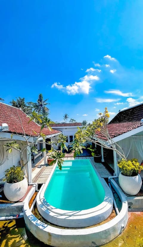 Day, Natural landscape, Garden, Pool view, Pool view, Swimming pool, Swimming pool