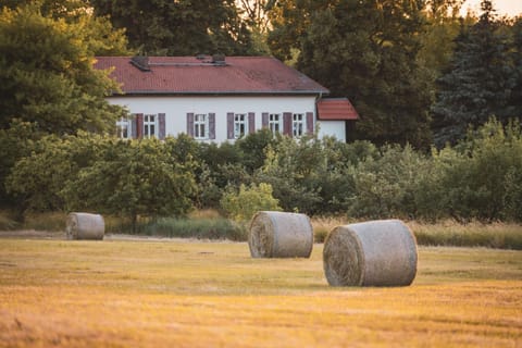 Natural landscape