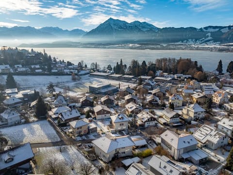 Lake and Mountain View Villa with Whirlpool and Free Parking in Huenibach Villa in Hilterfingen