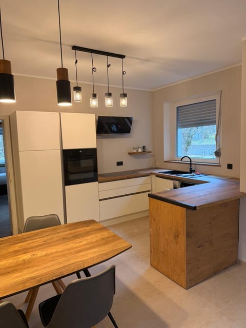 Kitchen or kitchenette, Dining area, dishwasher, stove