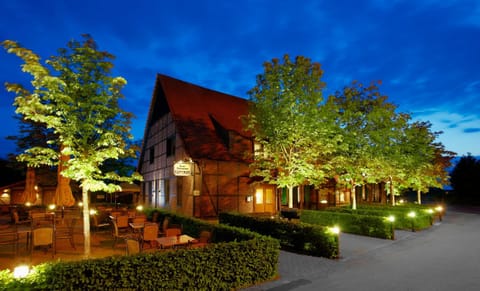 Property building, Spring, Night, Natural landscape, Garden, Garden view