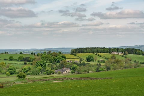 Property building, Garden view