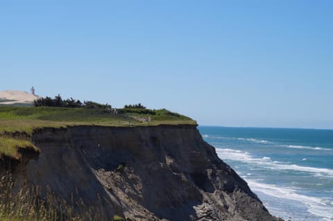 Natural landscape