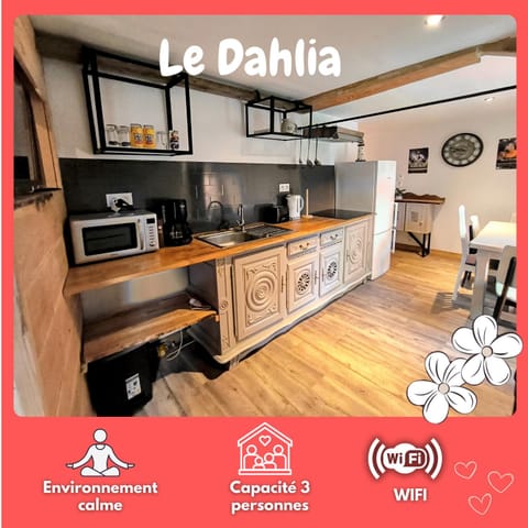 Kitchen or kitchenette, stove, toaster