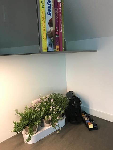 Apartment Riverside Apartment in Salzburg