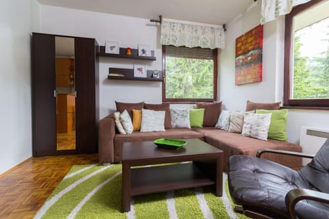 Living room, Photo of the whole room, Decorative detail