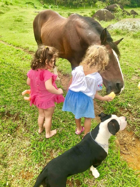Horse-riding, Other, Entertainment