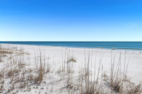 Sailmakers Place Unit 903 House in Perdido Key