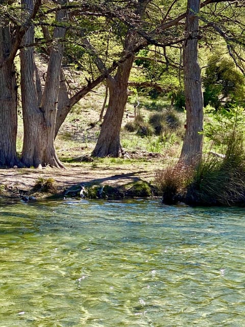 Trulove Lodge House in Concan