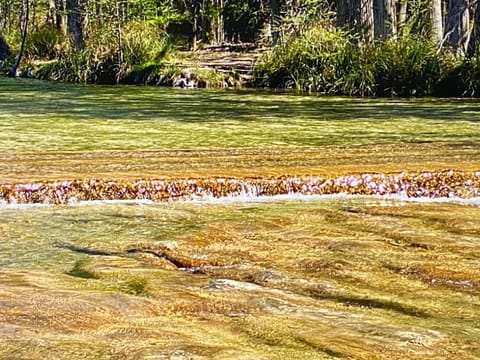 VILLA MUNIZ House in Concan