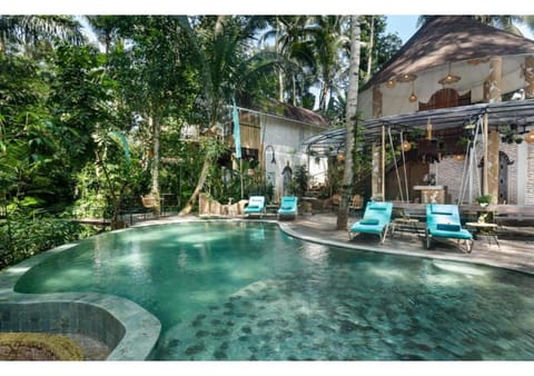 Restaurant/places to eat, Restaurant/places to eat, Swimming pool