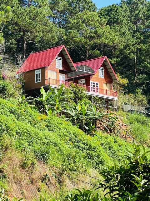 Property building, Garden view