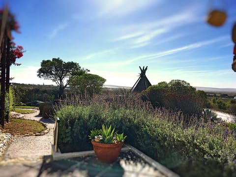 Garden, Garden, Garden view