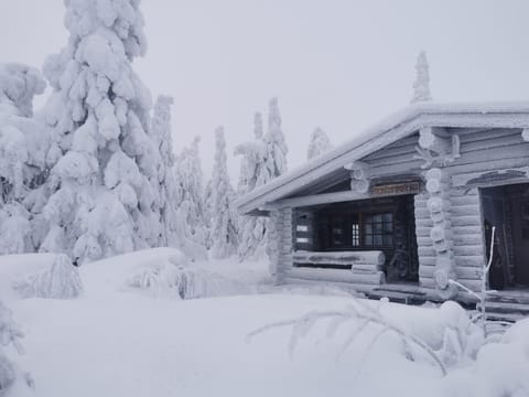 Tunturikettu Apartment in Lapland