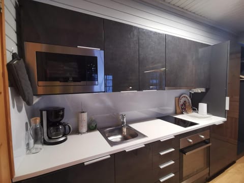 Tunturikettu Apartment in Lapland