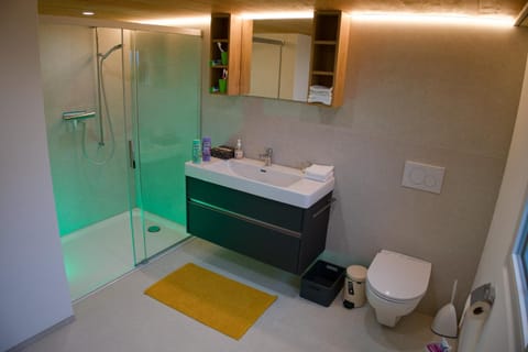 Shower, Toilet, Bathroom, towels