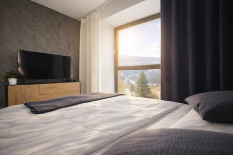 Bed, TV and multimedia, View (from property/room), Landmark view, Mountain view