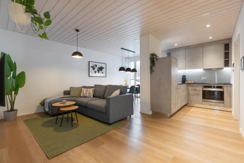 Kitchen or kitchenette, Living room, Seating area