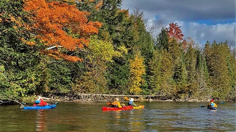 Gorgeous Cottage with Stunning Sights in Wellston, Michigan House in Michigan