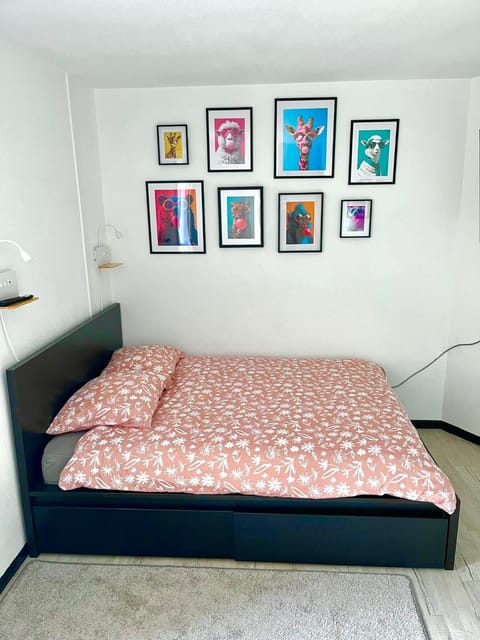 Calm and Cozy Apartment Apartment in Villeurbanne