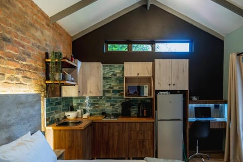 Kitchen or kitchenette, minibar, oven, stove