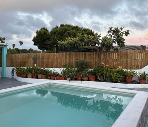Garden, Swimming pool