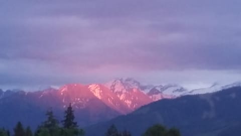 Apartment Steger Apartment in Salzburgerland