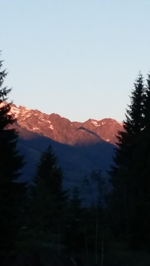 Apartment Steger Apartment in Salzburgerland