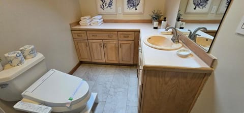 Lakeside Cozy Home At Winni Close To Abenaki Ski Area And Boat Launch House in Wolfeboro