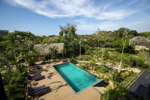 Garden, Swimming pool
